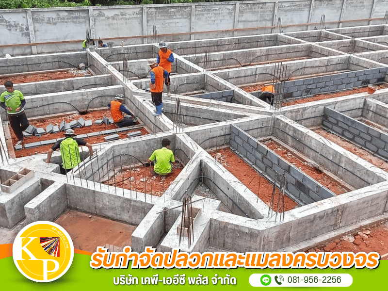 รับวางระบบท่อปลวก รับวางระบบท่อปลวก